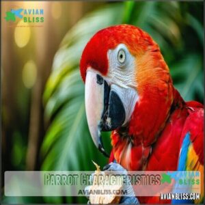 Parrot Characteristics