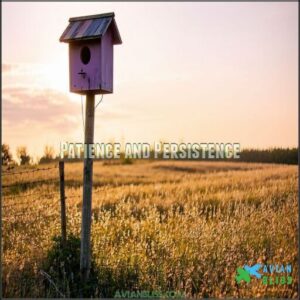 Patience and Persistence