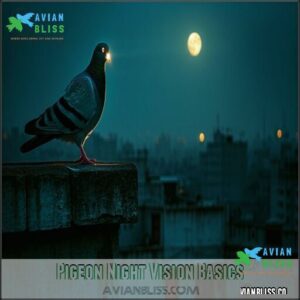 Pigeon Night Vision Basics