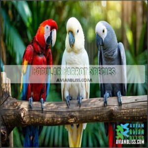 Popular Parrot Species