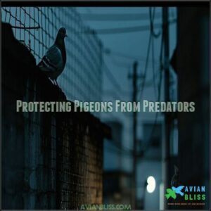 Protecting Pigeons From Predators