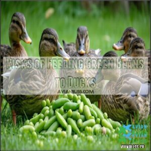 Risks of Feeding Green Beans to Ducks