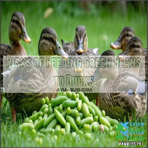 Can Ducks Eat Green Beans? Tips for Safe and Healthy Feeding