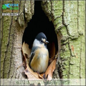 Safe Roosting Adaptations Safe Roosting Adaptations