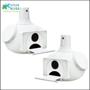 S&K Bo Nine Classic Combo B0C3K5J865