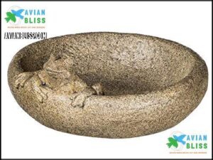 Sullivans PR2377 Frog Themed Bird B078TMQVT6