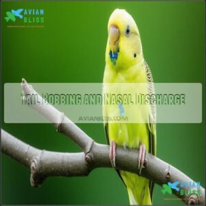 Tail Bobbing and Nasal Discharge Tail Bobbing and Nasal Discharge