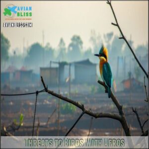 Threats to Birds With Afros