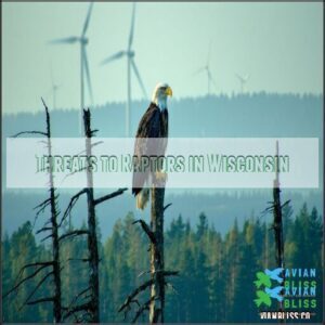 Threats to Raptors in Wisconsin