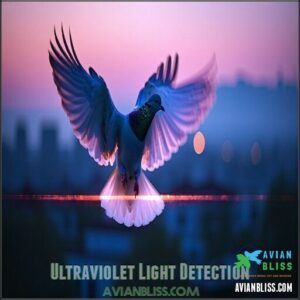 Ultraviolet Light Detection