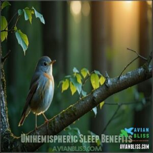Unihemispheric Sleep Benefits Unihemispheric Sleep Benefits