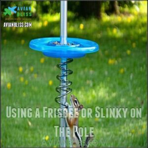 Using a Frisbee or Slinky on The Pole Using a Frisbee or Slinky on The Pole