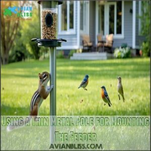 Using a Thin Metal Pole for Mounting The Feeder Using a Thin Metal Pole for Mounting The Feeder