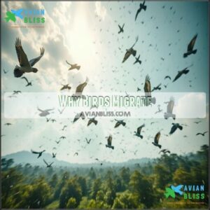 Why Birds Migrate