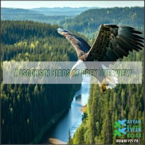 Wisconsin Birds of Prey Overview