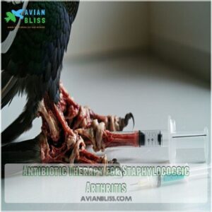 antibiotic therapy for staphylococcic arthritis