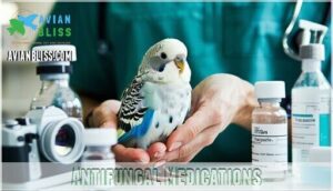 antifungal medications