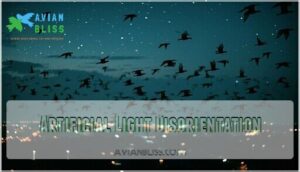 artificial light disorientation