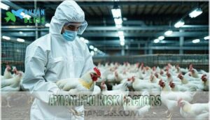 avian flu risk factors