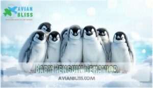 baby penguin behavior