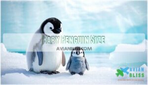 baby penguin size