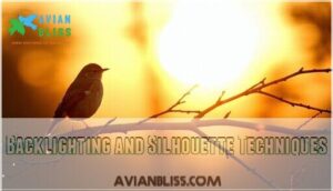 backlighting and silhouette techniques