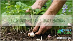 ball's bluff garlic mustard pull