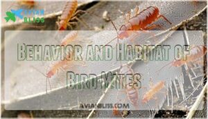 behavior and habitat of bird mites