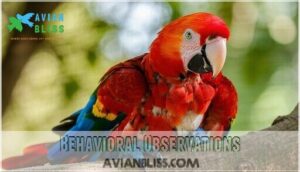 behavioral observations