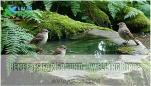 benefits for ground-dwelling birds