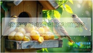 benefits of feeding birds potatoes
