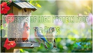benefits of high protein food for birds