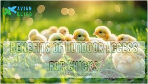 benefits of outdoor access for chicks benefits of outdoor access for chicks