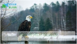 best birding seasons
