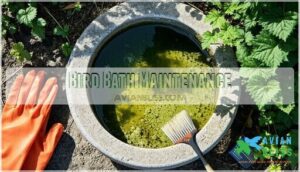 bird bath maintenance bird bath maintenance