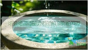 bird bath maintenance and safety