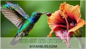 bird diet and nutrition