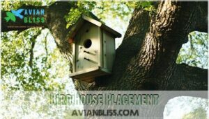 bird house placement