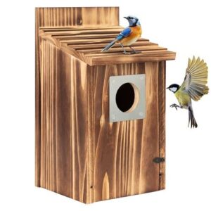Bird Houses for Outside with B0BBB42TND