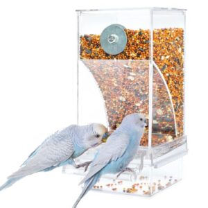 Bird Parrot Feeders, No Mess B0CG3B494G