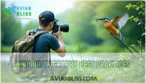 bird photography best practices