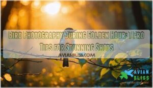 bird photography during golden hour