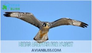 birds adapted for flight