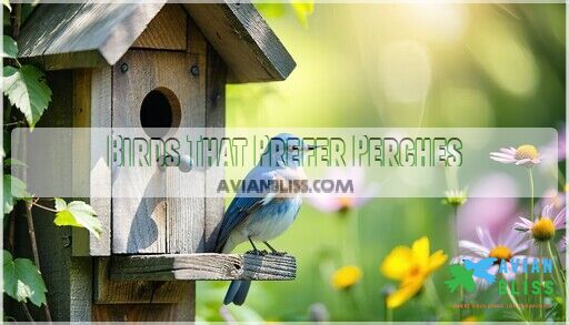 Photo inspiration: Bird House With Perches Benefits Tips Top Designs For Your Photo Inspiration