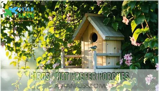 Curated visual reference: Visual Reference: Bird House With Perches Benefits Tips Top Designs For Your
