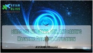 birds use the stars, sun, and earth's magnetic field for navigation
