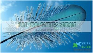 blue bird feathers science