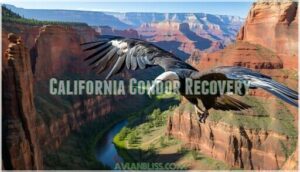 california condor recovery