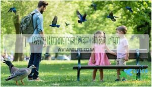 can humans get bird flu