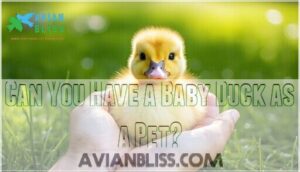 can you have a baby duck as a pet